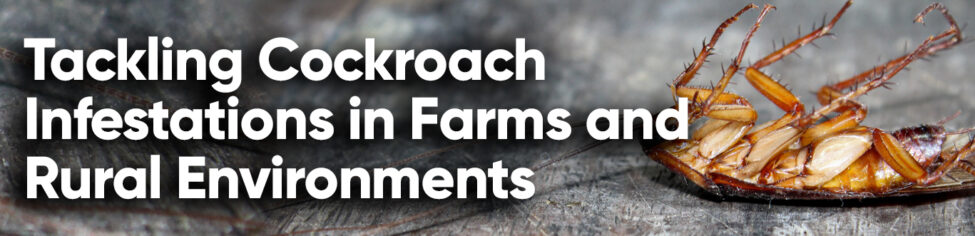 Tackling rodent infestations